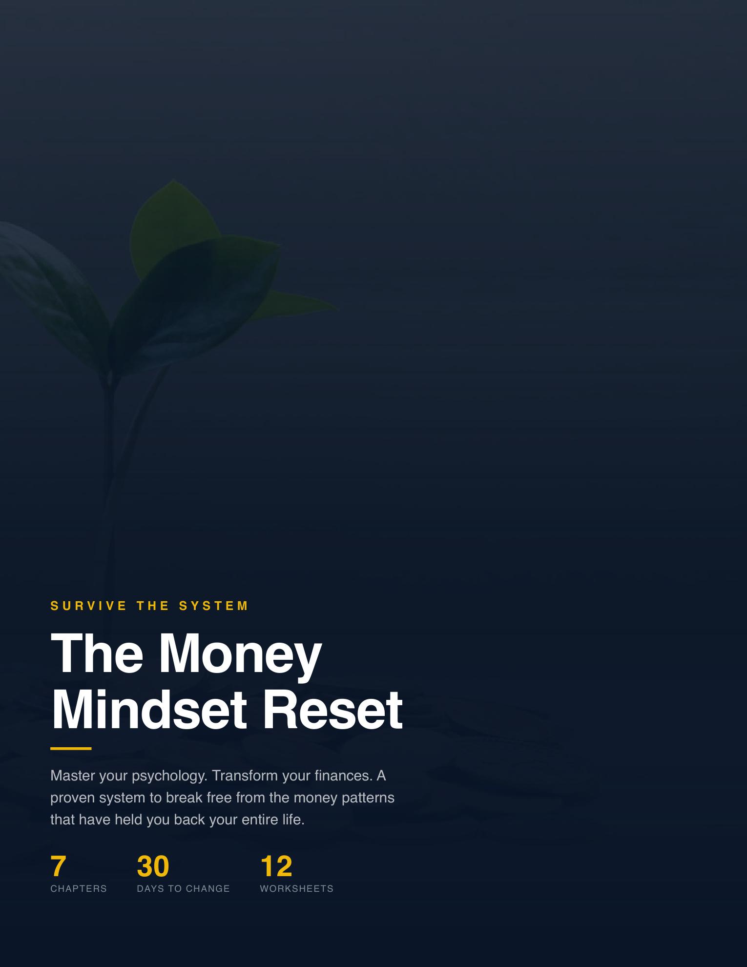 The Money Mindset Reset